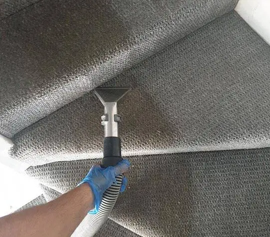 Professional Carpet Cleaning Services – Vip Carpet Cleaning