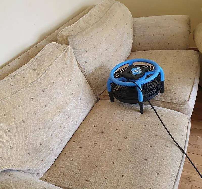 Sofa Cleaning Services – Vip Carpet Cleaning London
