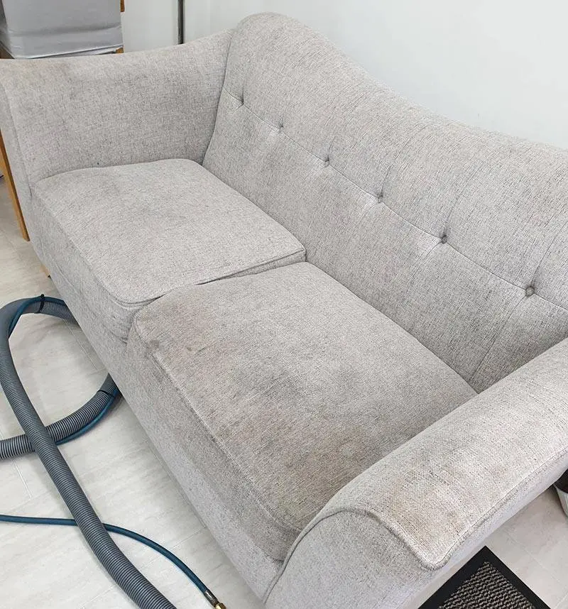 Our Sofa Cleaning Process – Vip Carpet Cleaning