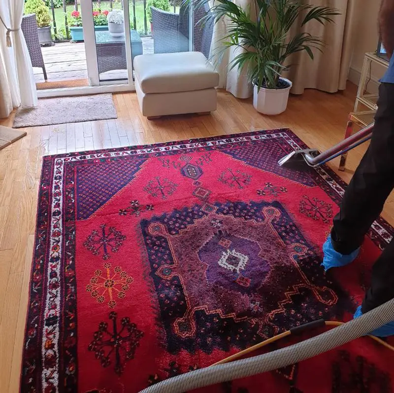 Exceptional Performance – Vip Carpet Cleaning