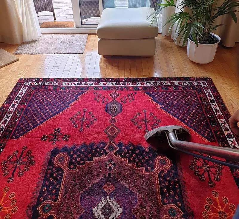Persian Rug Steam Clean – Vip Carpet Cleaning