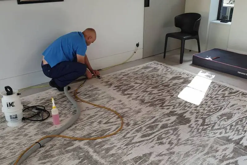 Rug Cleaning Costs – Vip Carpet Cleaning