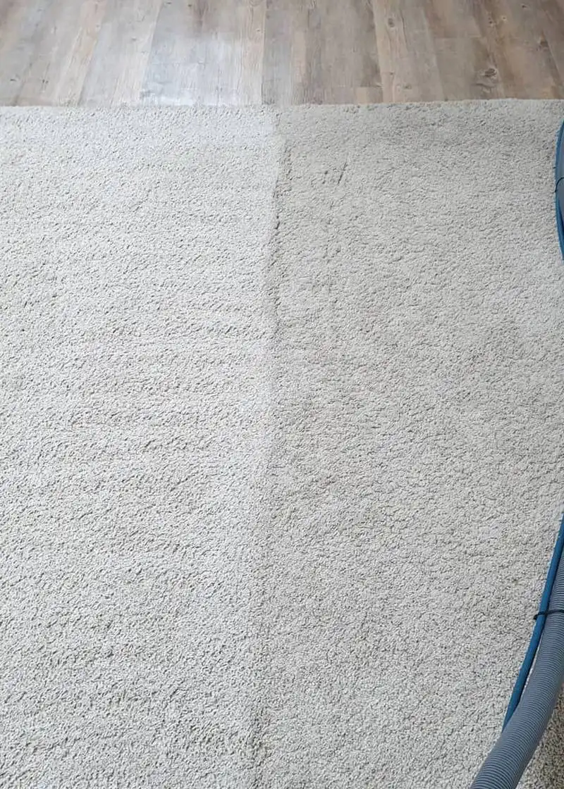 Our Rug Cleaning Service – Vip Carpet Cleaning
