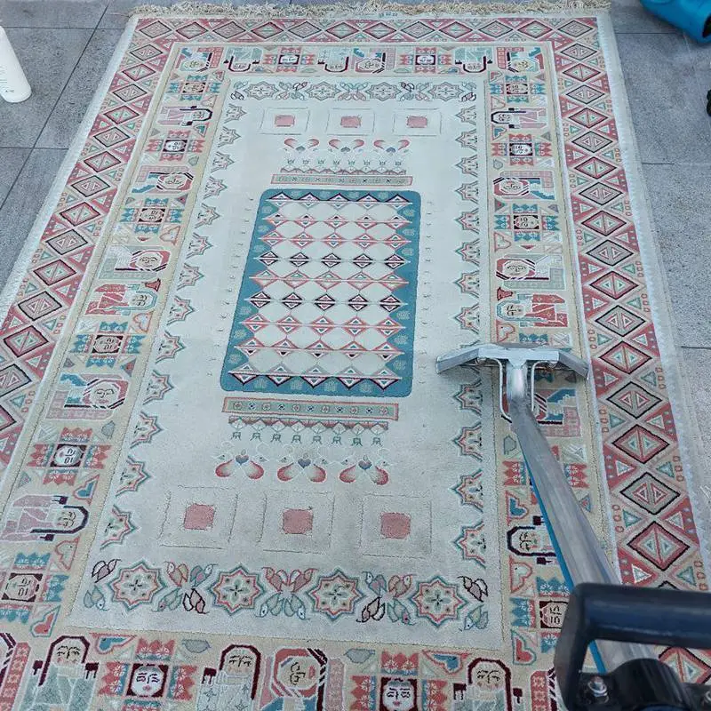 Vip carper Cleaning Before After