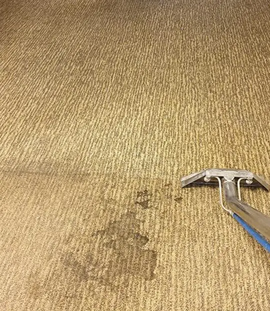 Emergency Carpet Cleaning Services Are